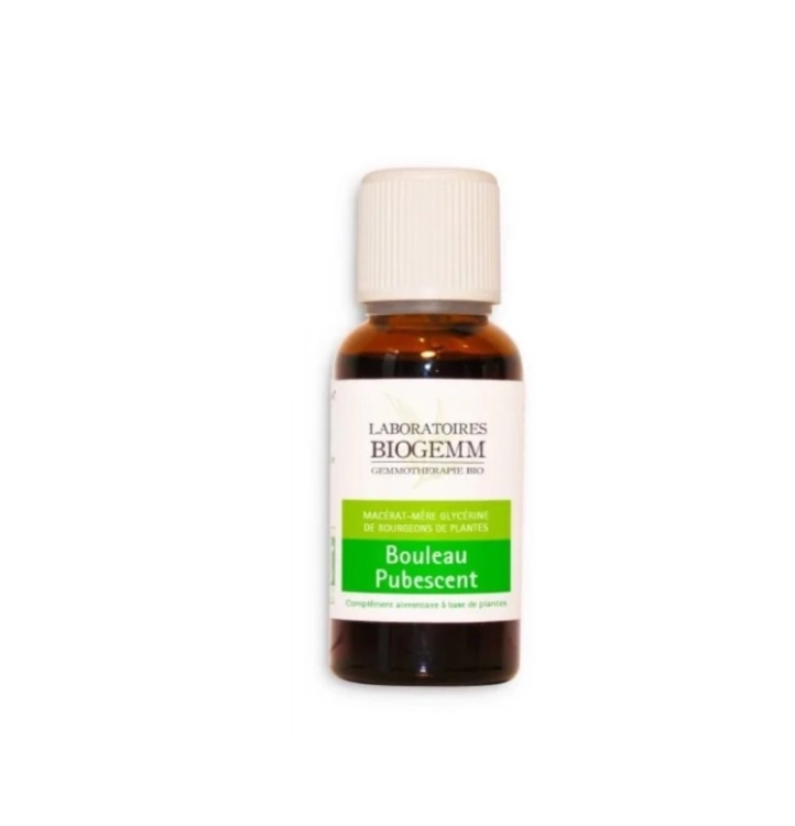 BOULEAU PUBESCENT, Macérât - BIOGEMM