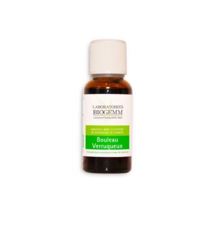 BOULEAU VERRUQUEUX, Macérât - BIOGEMM