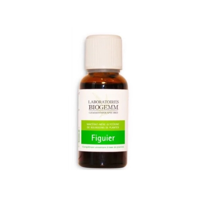 FIGUIER, Macérât - BIOGEMM