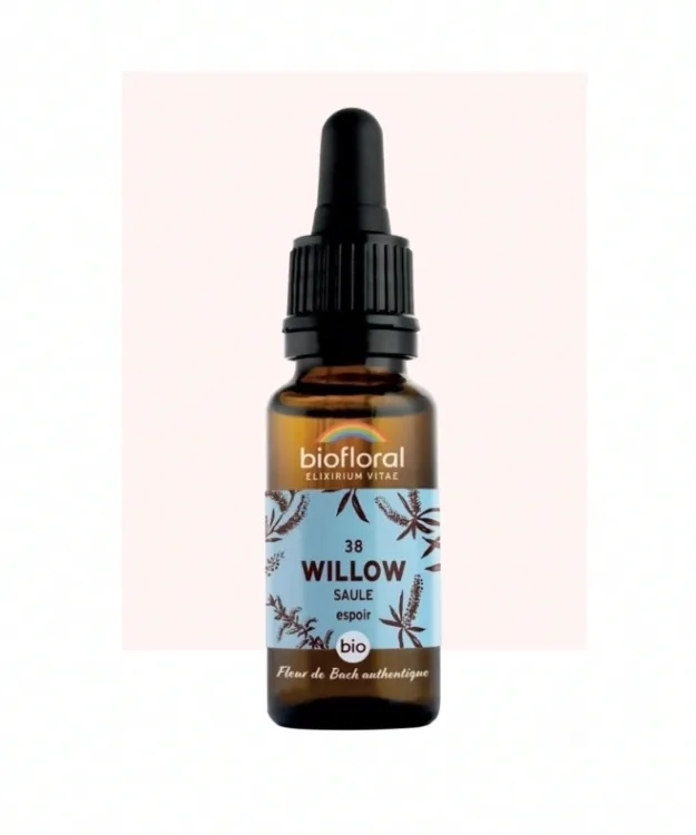 Fleur de Bach n°38 Willow, Saule Bio - BIOFLORAL