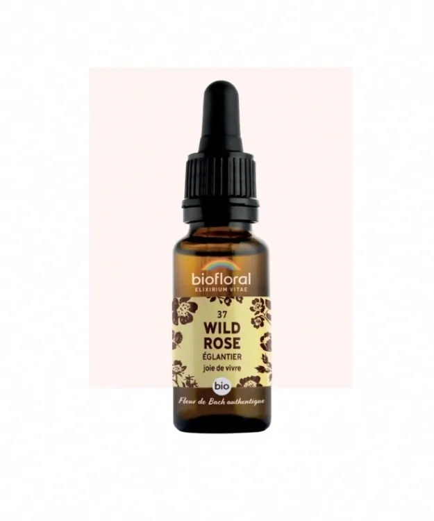 Fleur de Bach n°37 Wild Rose, Églantier Bio - BIOFLORAL