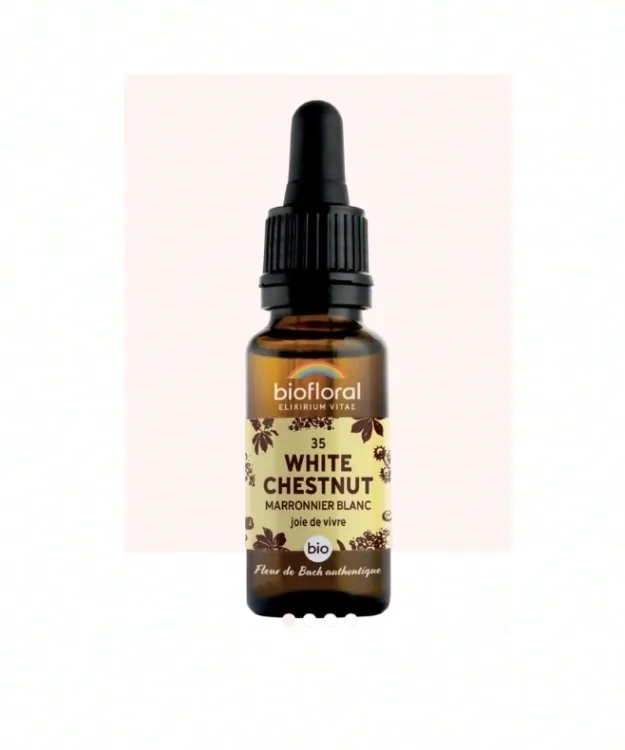 Fleur de Bach n°35 White Chestnut, Marronnier Blanc Bio - BIOFLORAL