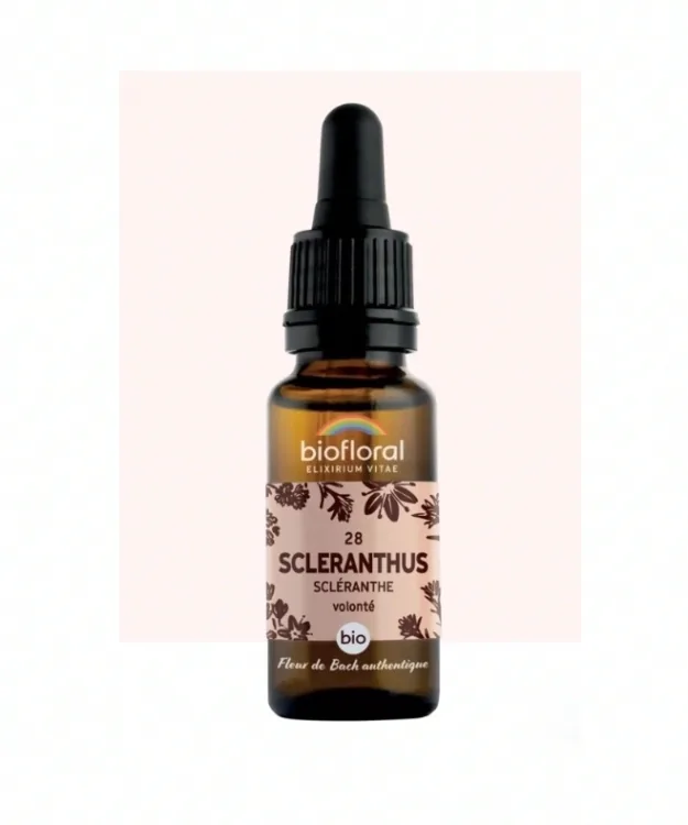 Fleur de Bach n°28 Scleranthus, Scléranthe Bio - BIOFLORAL