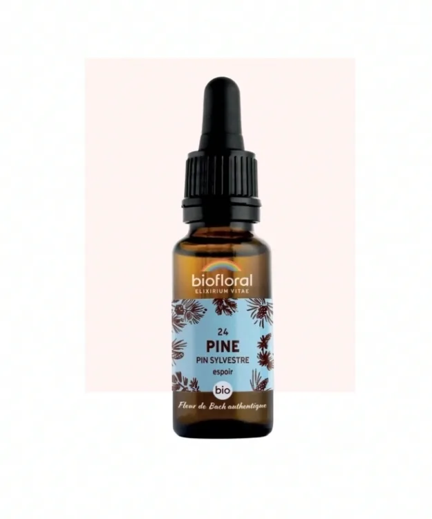 Fleur de Bach n°24 Pine, Pin Sylvestre Bio - BIOFLORAL
