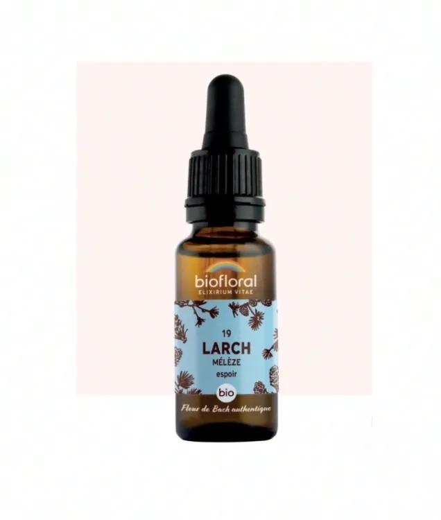 Fleur de Bach n°19 Larch, Mélèze Bio - BIOFLORAL