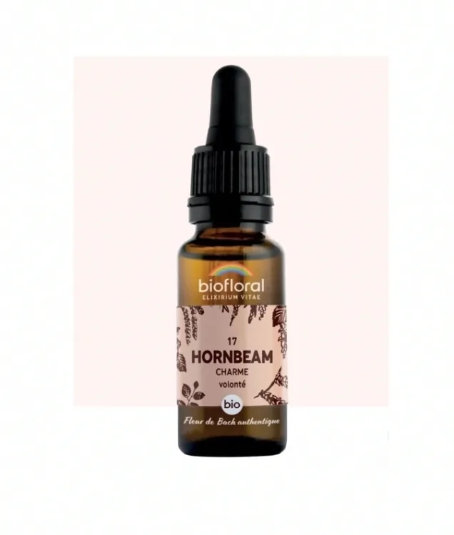Fleur de Bach n°17 Hornbeam, Charme Bio - BIOFLORAL