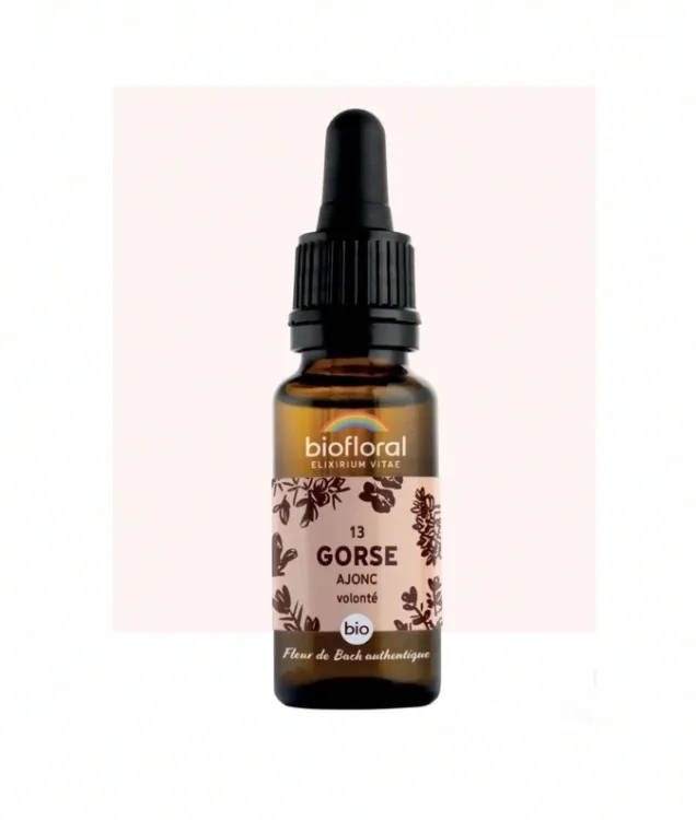 Fleur de Bach n°13 Gorse, Ajonc Bio - BIOFLORAL
