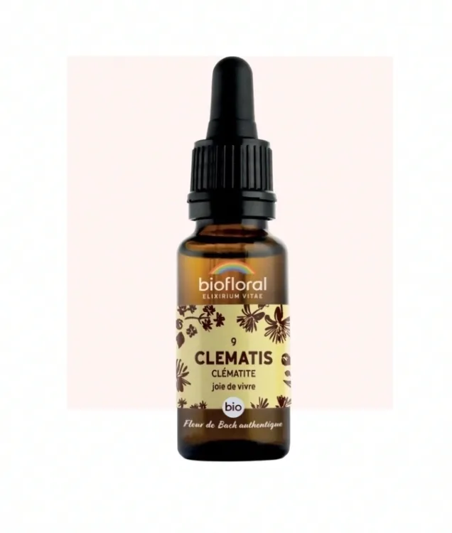 Fleur de Bach n°09 Clematis, Clématite Bio - BIOFLORAL