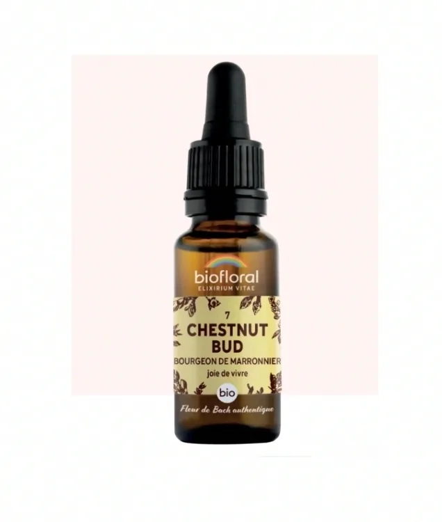 Fleur de Bach n°07 Chestnut Bud, Bourgeons de Marronnier Bio - BIOFLORAL