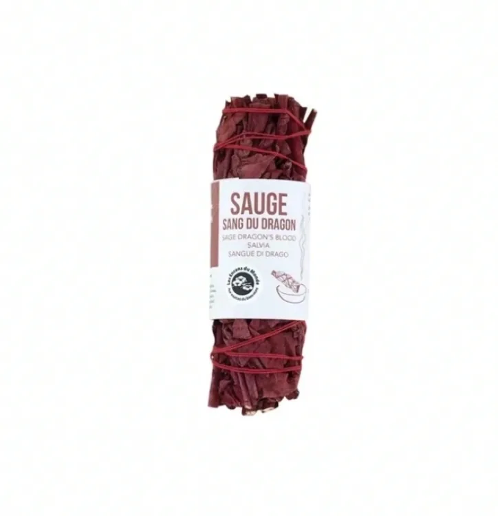 Tresse de Sauge Sang-Dragon – Californie (10 cm)