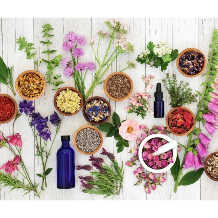 Immunité, défenses naturelles et allergies