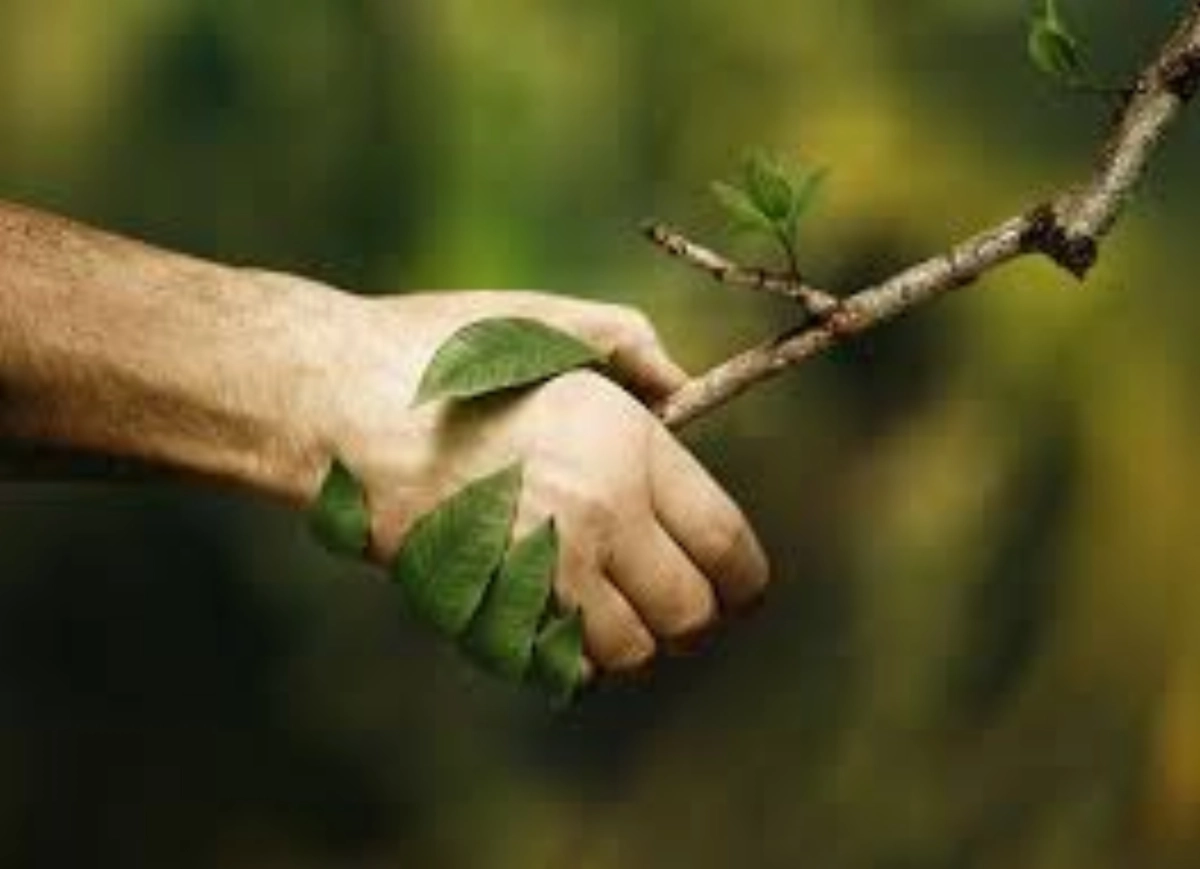 NATUROPATHIE